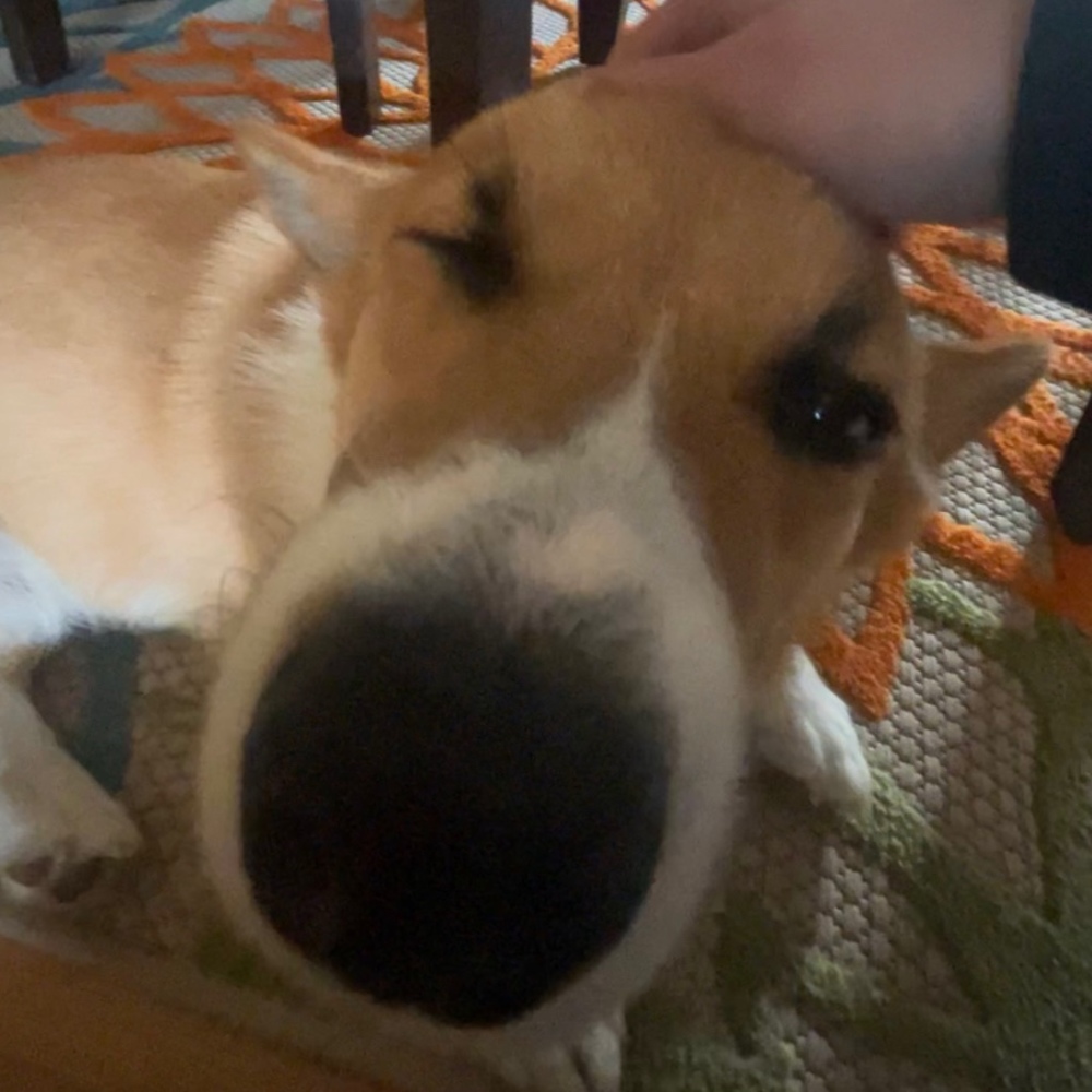 Meet your Posher, Mars